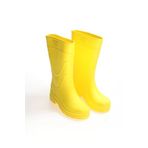 Gezer Kışlık Erkek Çizme (Sarı / 40-41)