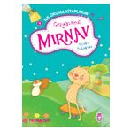 GEZGIN KEDI MIRNAV UÇAN BALONDA - FATMA IŞIK