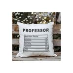 giftkonsept Engineer Nutrition Facts Baskılı Mühendis Hediyelik Elyaf Dolgulu Dekoratif Yastık 28x28 cm, QBY1080