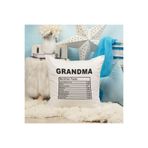 giftkonsept Grandma Nutrition Facts Büyükanne Baskılı Elyaf Dolgulu Hediyelik Yastık, QBY1041