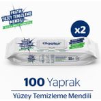 Giggles 100 Adet Pratik Yüzey Temizleme Havlu Mendil