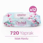 Giggles Orkide Kokulu Islak Havlu 60'lı 12 Paket 720 Mendil