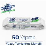 Giggles Pratik Yüzey Temizleme Mendili 1 Paket 50 Adet