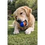 Gigwi Ball Sert Top 5 cm Şeffaf Turuncu Köpek Oyuncağı