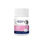 Gigwi Purify Urin Dog C Vitamin Complex 12 Gr 40 Tablet