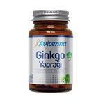 Ginkgo Biloba- Ginkgo Yaprağı İçeren Takviye Edici Gıda - 60 Bitkisel Kapsül