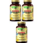 Ginkgo Biloba Leaf Extract 60 Kapsül 3 Adet