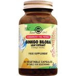 Ginkgo Biloba Leaf Extract 60 Kapsul Ginko