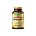 Ginkgo Biloba Leaf Extract (sfp) 60 Kapsül