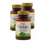Ginkgo Biloba Tableti 60 X 600 mg 3 Kutu