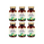 Ginseng & Ginkgo Biloba 720 Mg 120 Tablet X 6 Adet