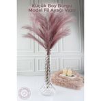 GİNZAMAİSON Küçük Boy Burgu Model Fil Ayağı Vazo - 25cm - Şeffaf Dekoratif Vazo