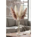 GİNZAMAİSON Küçük Boy Linea Model Fil Ayağı Vazo - 25cm - Şeffaf Dekoratif Vazo