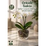 GİNZAMAİSON Orta Boy Şeffaf Orkide Saksısı Alt Tablalı Dekoratif Saksı