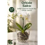 GİNZAMAİSON Şeffaf Orkide Saksısı 0,75 Lt Çıkarılabilir Tabanlı Dekoratif Saksı