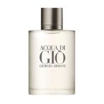 Giorgio Armani Acqua Di Gio EDP 100 ml Erkek Parfümü