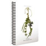 Gıpta 17x24 120 Yaprak Vintage Spiralli Sert Kapaklı Çizgili Defter