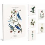 Gıpta 19x26 A4 60 Yaprak Vintage Tel Dikişli Karton Kapaklı Kareli Defter