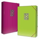 Gıpta 25x35 cm Kutu Klasör