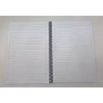 Gıpta 4175 Eco Spiralli Pp. Kapak A4 60 Yp. Çizgili Kırmızı Defter