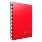 Gıpta A4-100 Yaprak Bx Notes Spiralli Seperatörlü Plastik Kapak Defter