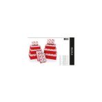 Gıpta BX0870 No:4 Regalo Dikdörtgen Hediye Kutusu