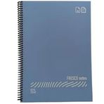 Gıpta Fresco A4 Plastik kapak 60 Yaprak Kareli Spiralli Pastel Mavi Defter