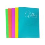 Gıpta Mica 40 Yaprak A5 Pp Çizgili Defter - 4 Adet - Karışık