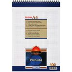 Gıpta Prisma Kareli A4 100 Yaprak Bloknot