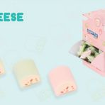 Gıpta Silgi Cheese K234800 (48 Li Paket)