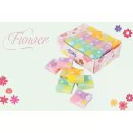 Gıpta Silgi Flower Transıtıon 36 Lı K235900