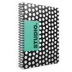 Gıpta Studio A4 80 Yaprak Çizgili Spiralli Karton Kapaklı Defter