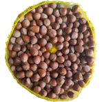 Giresun Kabuklu Fındık Fındık 1 kg