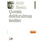 Girişimci Kadın Çuvala Doldurulmuş Kediler