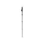 Gitzo GM2541 Monopod
