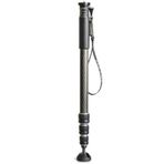 Gitzo GM2542 Monopod