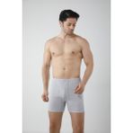 Gizem İç Giyim 6'lı Paket Erkek Boxer/paçalı - 94-Gri