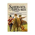 Gizemli Tilki Avı Sherlock Lüpen ve Ben - Irene Adler