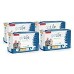Gizlife Belbatlı Hasta Bezi Xl 120 Adet
