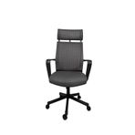 Gizmo Efor Fileli Şef Bilgisayar Ofis Çalışma Koltuğu FK1401 Gri