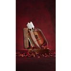 glabella B82 V.sectr Night Edp Kadın Parfümü