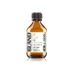 Gland Simmondsia Chinensis 100 ml Jojoba Yağı