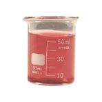 Glass Rose Cam Beher Set 50 ml ve 250 ml Cam Beher - Şeffaf - 2 Adet