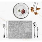 Glassium Home Decoration Gümüş Supla Takımı