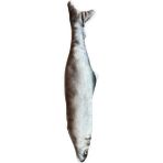 Glipet Balık 30 cm Peluş Kedi ve Köpek Oyuncağı
