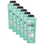 Gliss 6x360 ml Nutribalance Repair Saç Dökülmesi Karşıtı Şampuan
