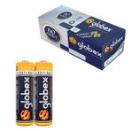 Globex Gx-0105 Aa Kalem Pil Carbon 60'li Paket
