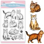 GLOBLELAND Şeffaf Damga Kedi Motifli Gerçekçi Kediler Silikon Damga Şeffaf Hayvan Damgası Kendin Yap Koleksiyon Defteri Kartları Fotoğraf Albümü Dergileri Oluşturma