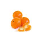 Gloria Fidancılık Tüplü Aşılı Satsuma Mandalina Fidanı 2 Yaş (100-120 Cm)