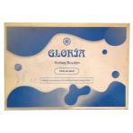 Gloria Kumaş Boyası Kot Açık Mavi 10 Gr Pkt